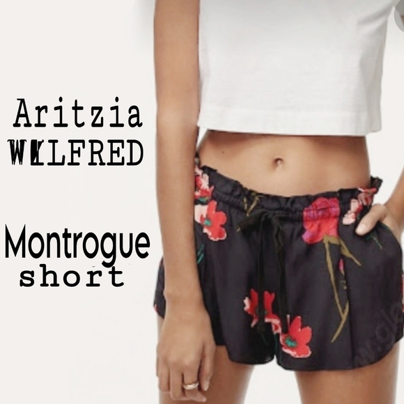 Wilfred Pants - Aritzia WILFRED Montrogue Short